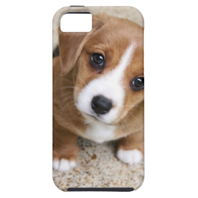 Coques Case-Mate iPhone Yeux de chiot (Dos)