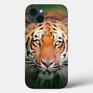 iPhone 13 Coque Yeux du tigre