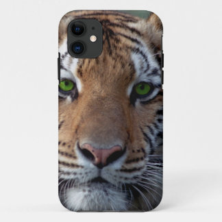 Coque Case-Mate Pour iPhone Yeux verts de tigre de Bengel
