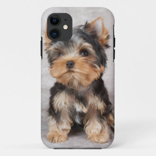 Coque Case-Mate iPhone Yorkie merveilleux