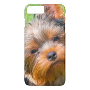 Coque iPhone 7 Plus Yorkshire Terrier qui regarde vers le haut