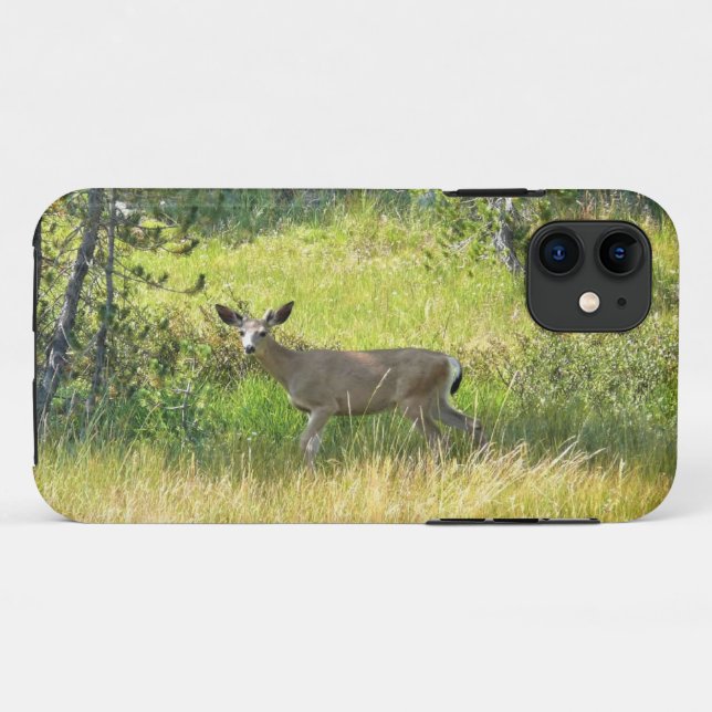 Coques Case-Mate iPhone Young Buck en Yosemite, Californie (Dos (Horizontal))
