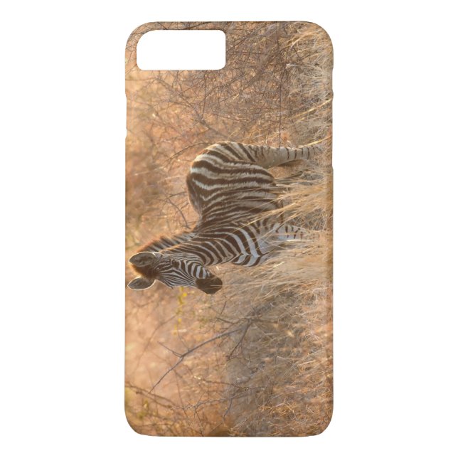 Coques Case-Mate iPhone Zebra foal in morning light (Dos)