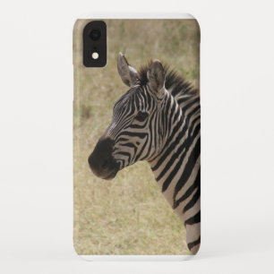 Coque Pour iPhone XR zèbre