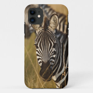 Coques Pour iPhone Zèbre de Burchell dans les hautes herbes d'été, Ma