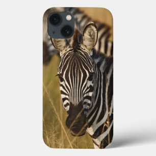 Coque Case-Mate iPhone Zèbre de Burchell dans les hautes herbes d'été, Ma