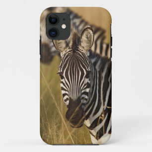 Coques Pour iPhone Zèbre de Burchell dans les hautes herbes d'été, Ma
