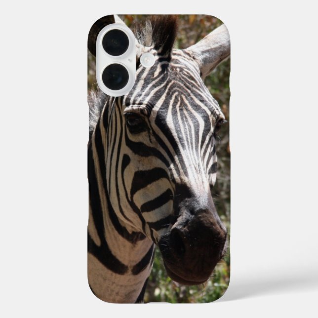 Coques Case-Mate iPhone zèbre souriant (Verso)