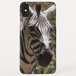 Coque Case-Mate iPhone zèbre sourit