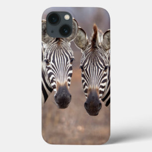 iPhone 13 Coque Zèbres des plaines, parc national Kruger