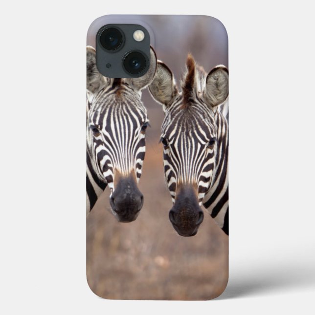 Coques Case-Mate iPhone Zèbres des plaines, parc national Kruger (Verso)