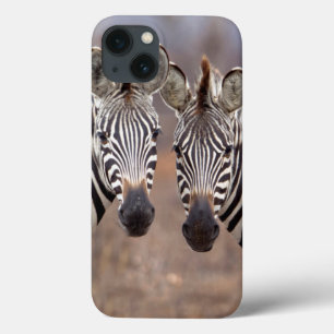 Etui iPhone 13 Zèbres des plaines, parc national Kruger