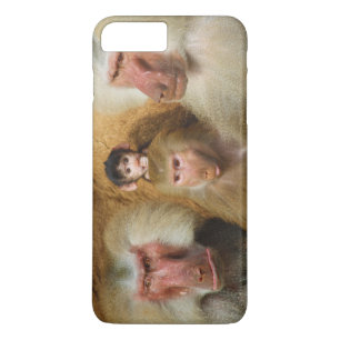 Etui iPhone Case-Mate Zoo de Cologne de Papio Hamadryas