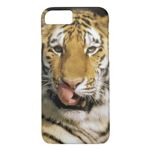 Coques Pour iPhone Zoo de Tiger Michigan