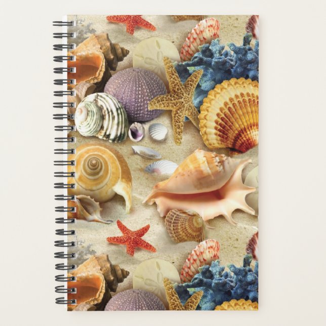 Coques de mer sur la plage (Devant)