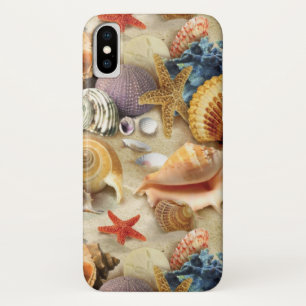 Coques de mer sur la plage