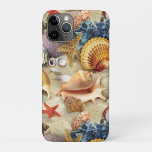 Coques de mer sur la plage