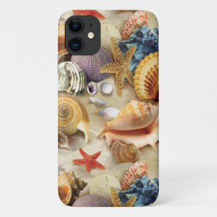 Coques de mer sur la plage