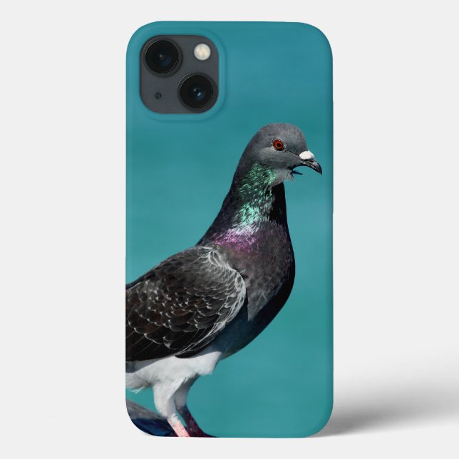 Coques iphone Rock Pigeon (Verso)