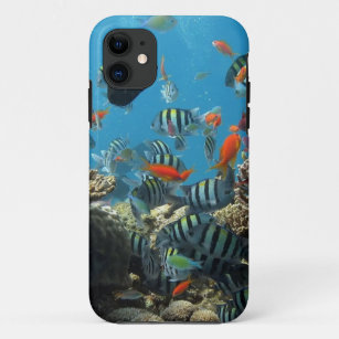 Coques Pour iPhone Chaos tropical de poissons