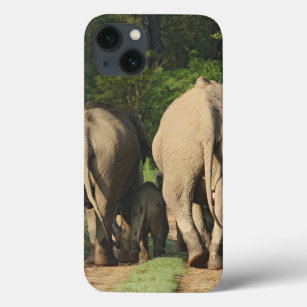 Coques Pour iPhone Eléphants indiens sur la piste de la jungle, Corbe
