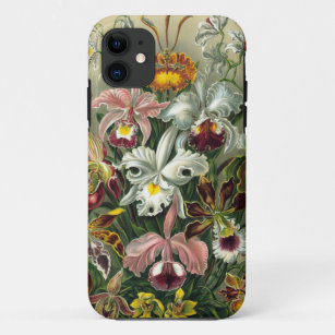 Coques Pour iPhone Illustration vintage d'orchidée d'Ernst Haeckel