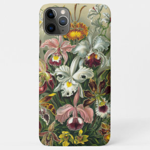 Coques Pour iPhone Illustration vintage d'orchidée d'Ernst Haeckel