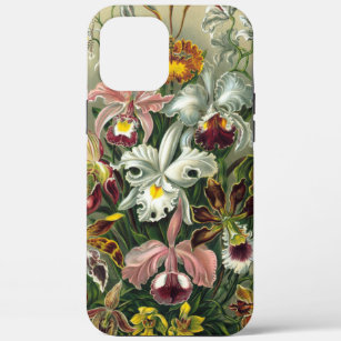 Etui iPhone Case-Mate Illustration vintage d'orchidée d'Ernst Haeckel