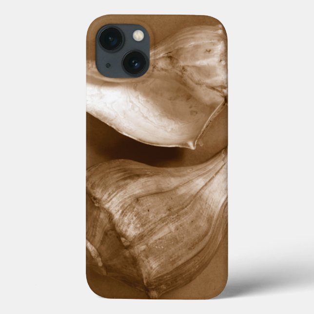 Coques sensuelles (Verso)