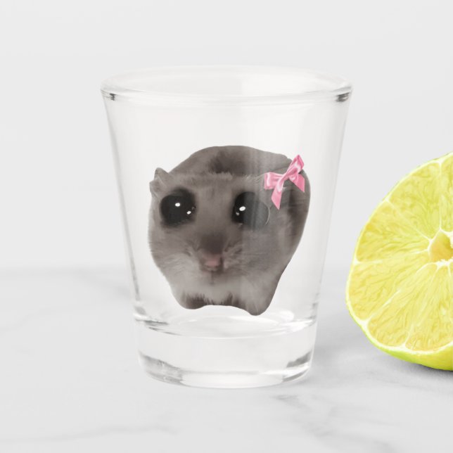 Coquette en verre de tir Mème en hamster de triste (Devant)