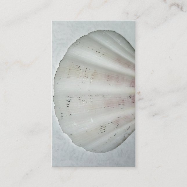 Coquillage blanc carte de visite couleurs neutres (Devant)