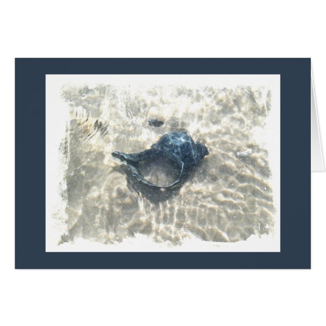 Coquillage noir (Devant horizontal)