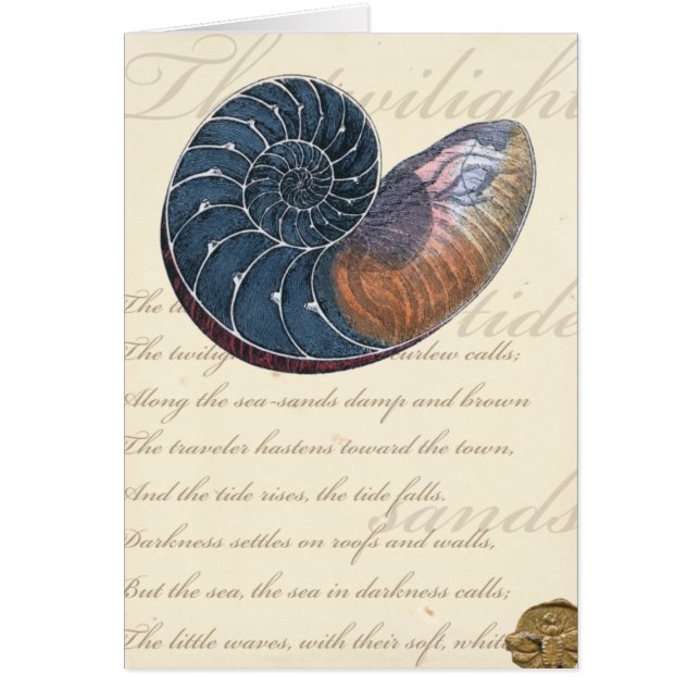 Coquillage romantique (Devant)