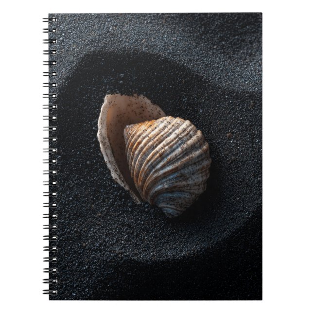 Coquillage sur Carnet de sable foncé (Devant)