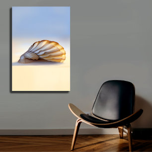 Coquillage sur toile de sable