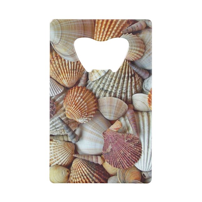Coquillages (Devant)