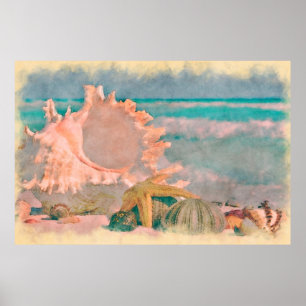 Coquillages à l'aquarelle sur une grande affiche d