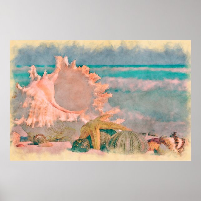 Coquillages à l'aquarelle sur une grande affiche d (Devant)