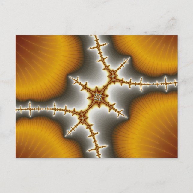 Coquillages - Carte Postale Fractée (Devant)