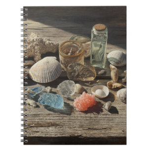 Coquillages Coral Collection Carnet côtier