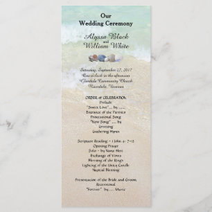 Coquillages D'Eau Tropical Grands Programmes De Ma