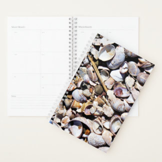 Coquillages Du Planificateur Sm