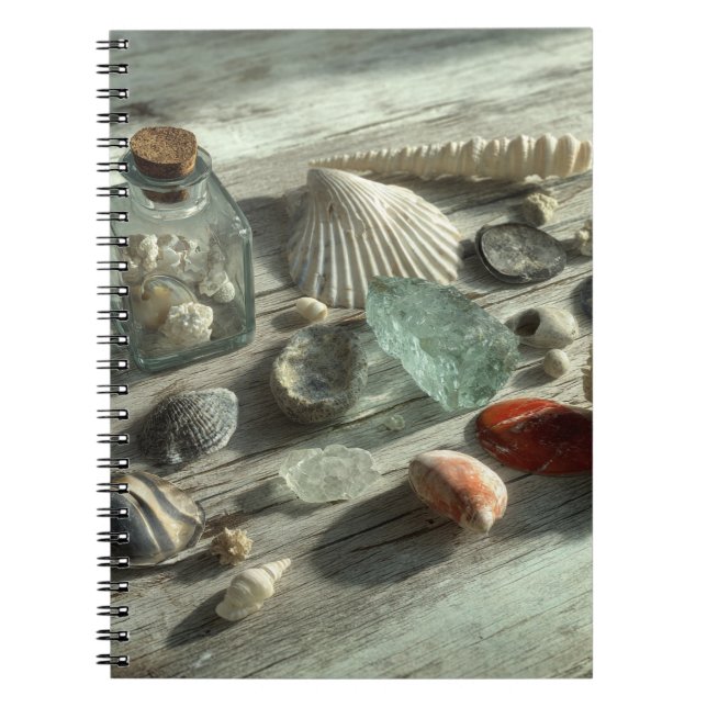 Coquillages et Carnet de verre marin (Devant)
