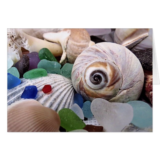 Coquillages et verre marin (Devant horizontal)