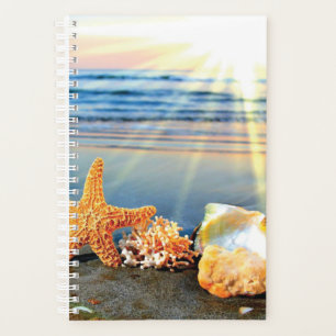 Coquillages marins et étoiles de mer sur la plage