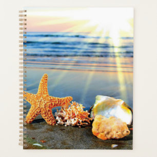 Coquillages marins et étoiles de mer sur la plage