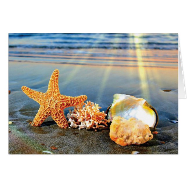 Coquillages marins et étoiles de mer sur la plage (Devant Horizontal)