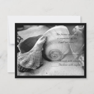 coquillages sable blanc bw rsvp