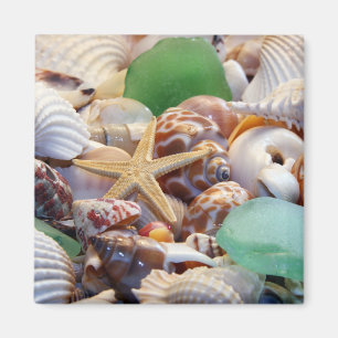 Coquillages Starfish & Beach Verre Magnet