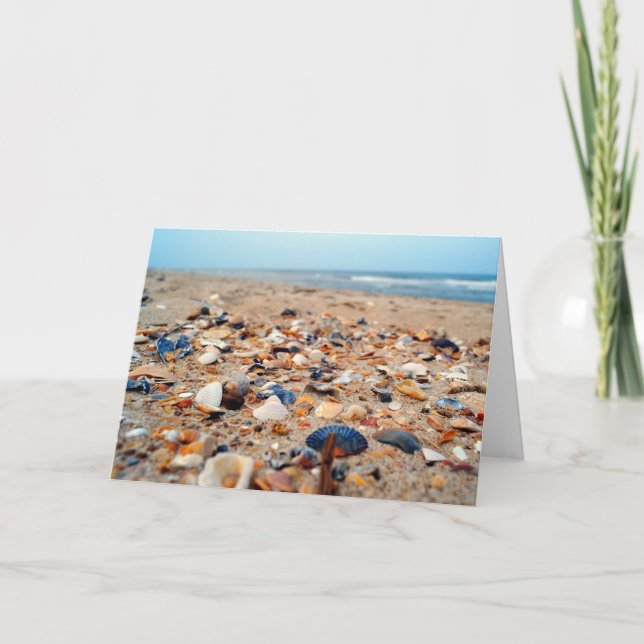 Coquillages sur la carte de voeux de plage (Devant)